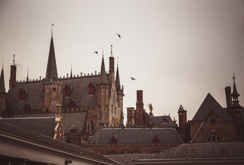 Roofs and birds, Brugge