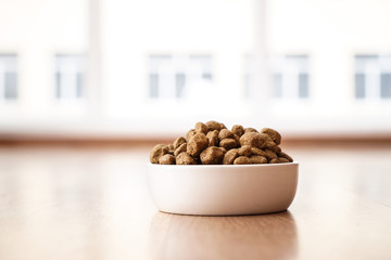 Bowl with dry pet food on floor