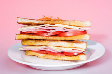 Colorful sandwiches side view on plate