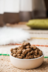 Bowl with dry pet food on floor