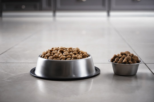 Bowls with dry pet food on floor