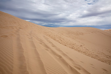 Dunas en el desierto