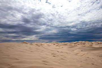Dunas en el desierto de Samalayuca