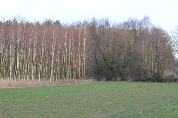 Foto Sobieniak © Szymon