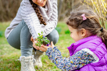 Young mother giving flowers to her child in the garden in early spring