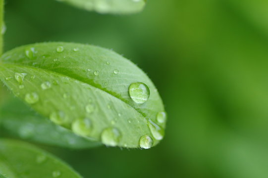 「雨降り」の画像 - 3,605 件の Stock 写真、ベクターおよびビデオ | Adobe Stock