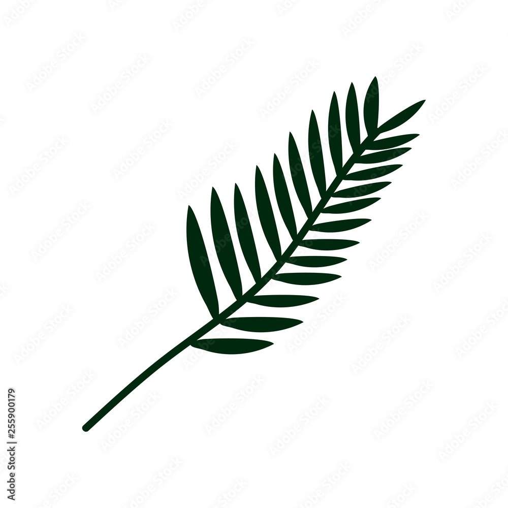 Sticker exotic tropical palm leaf, botanical design element vector illustration