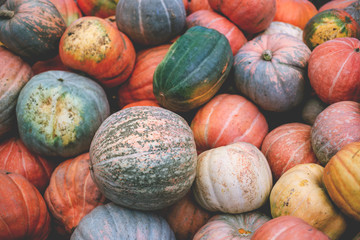 Heap of big dirty pumpkins.