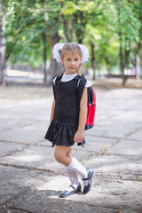 Fototapeta premium Cute little schoolgirl with backpack in the park.