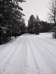 Fototapeta premium Winter