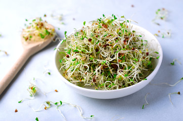 Fresh Green Organic Alfalfa Sprouts on Bright Background - obrazy, fototapety, plakaty