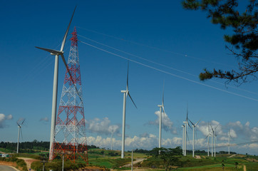 wind turbines field for generate electricity