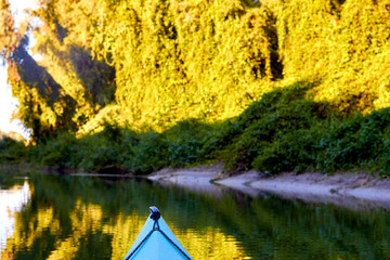 Prow (bow, nose) of blue kayak against of overgrown green thick thickets of trees and wild grapes illuminated by the rays of the setting sun at the shore of Danube river
