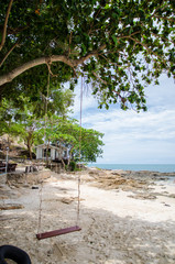 swing hang on tree on beach