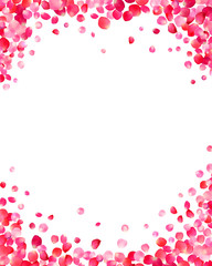 White background with pink rose petals