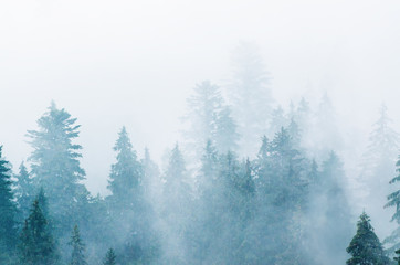 Fototapeta na wymiar Misty mountain landscape