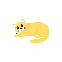 vector color funny cute cartoon cat on white background