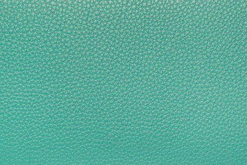 Leather texture in soft green