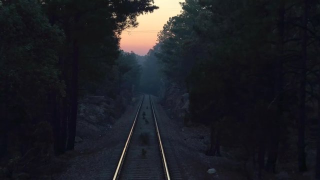 POV of the Cheep train passing a forest at dawn