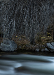 Scene with long exposure river and tree in winter