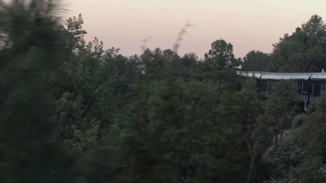 View of the Cheep train passing through a forest, Barrancas del Cobre, Chihuahua, Mexico.