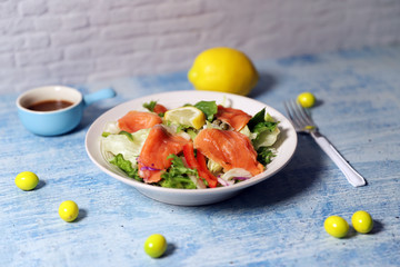 salmon vegetable salad
