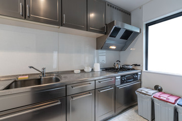 Modern kitchen with stainless steel kitchen cabinets