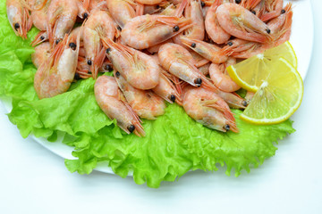 shrimp on a plate salad
