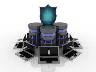 3d rendering Computer network with shield