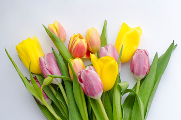 Bouquet of colorful tulips with green leaves on a light background. Beautiful flower in the spring season. Top view of empty space