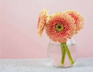 Beautiful spring pink flowers on blue pastel table in a vase. Floral border.