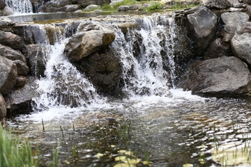 Fototapeta premium waterfall in forest, water, landscape, fountain, water flows waterfall, water, nature, river, stream, cascade, rock, landscape, forest, fall, green, falls, mountain, flowing, stone, creek, spring, flo