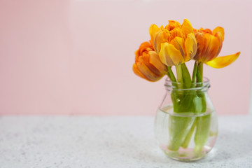 Row of tulips in vase on coloful background with space for message. Mother's Day background.