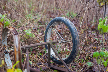 Abandoned pram, throwing a pram, there was a pram in the forest