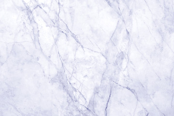 Abstract grey light marble background with natural motifs.