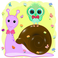 Sweet owl and snail cartoon vector illustration 