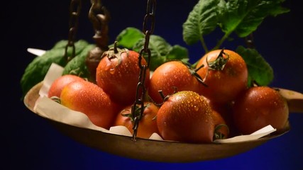 Pomodoro Camone ft7105_0641 Solanum lycopersicum