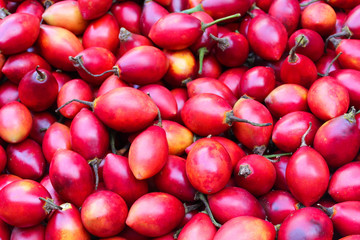 Tamarillo (Solanum betaceum) 