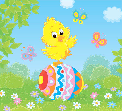 Little yellow Easter Chick dancing on a big colorfully decorated egg on green grass of a lawn on a sunny spring day, vector illustration in a cartoon style
