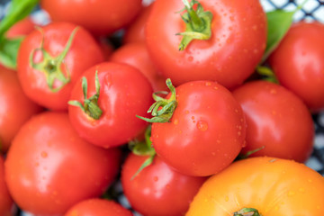 tomatoes not on the vine