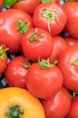 tomatoes not on the vine