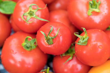 tomatoes not on the vine