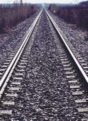 Fototapeta premium Train Tracks 