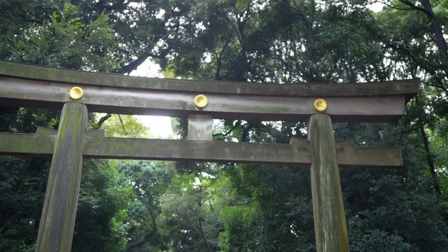 Close Up Smooth Gimbal Footage - Japanese Torii Shrine