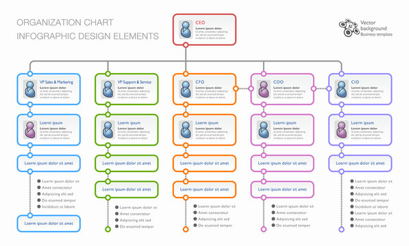 Organization Chart, Business Chart, Vector Graphics