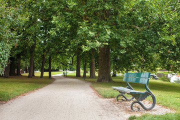 Wooden park bench under oak trees