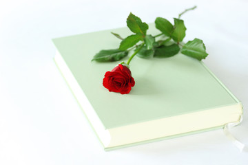 美しいバラの花と本