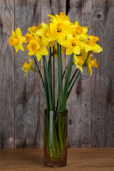 bouquet of daffodils in a vase