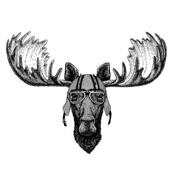 Moose, elk wearing a motorcycle, aero helmet. Hand drawn image for tattoo, t-shirt, emblem, badge, logo, patch.