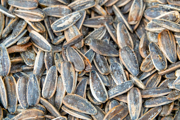 Sunflower Seeds
